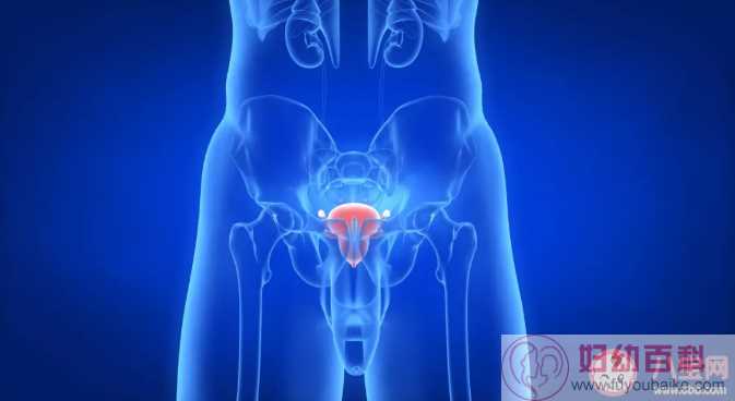 前列腺增生能自愈吗 前列腺增生对性生活有影响吗