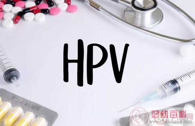2020HPV疫苗知识解答 HPV疫苗相关问题汇总