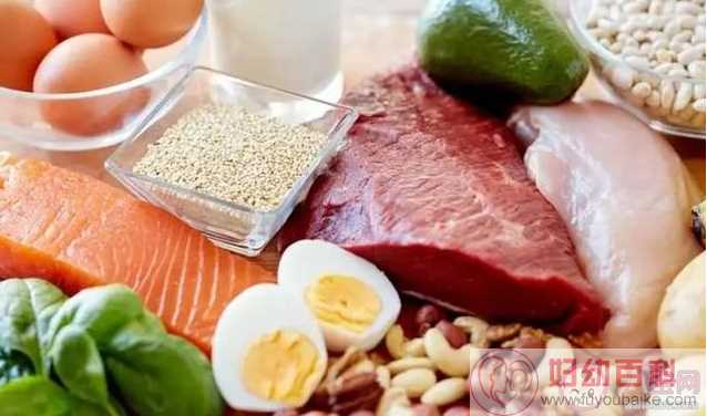 哪些食物蛋白质含量高 含蛋白质高的几种食物