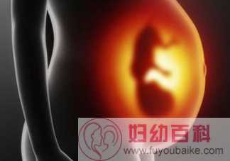胎儿快速成长期孕妇身体有什么变化 胎儿猛长期是什么时候