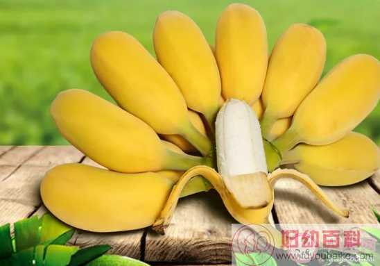 苹果蕉和香蕉营养有什么区别 苹果蕉有什么营养