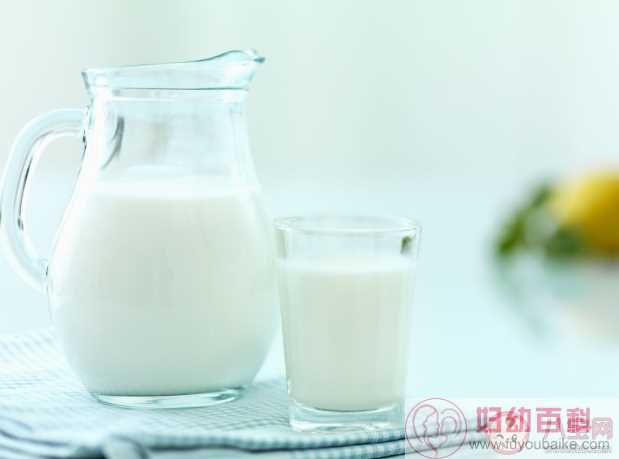 驼奶的营养价值比牛奶高吗 关于驼奶的几大传言解答