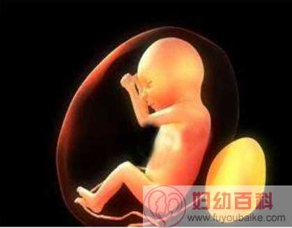 带壳宝宝是什么意思 宝宝出生时为什么会成为带壳宝宝