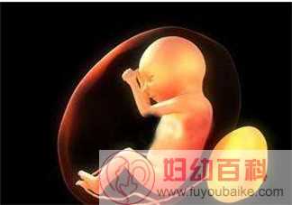 带壳宝宝是什么意思 宝宝出生时为什么会成为带壳宝宝