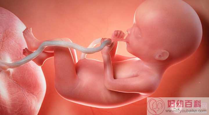 胎儿脐带绕颈能自己绕出来吗 什么情况可以绕出来