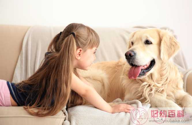 怎么根据孩子年龄养宠物 适合孩子养的宠物有哪些