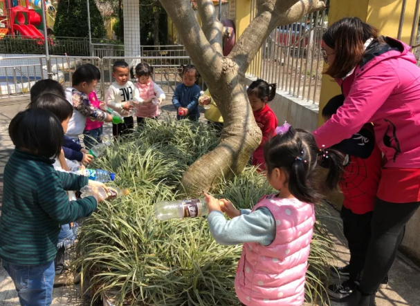 2019幼儿园植树节亲子活动报道 312植树节幼儿园活动报道