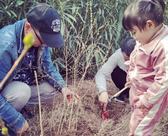 幼儿园小班植树节报道 2019幼儿园植树节活动报道