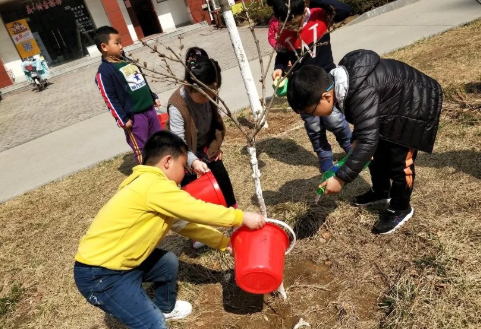幼儿园植树节活动报道 312幼儿园植树节活动内容