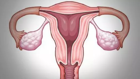 只剩一侧输卵管怎么备孕 输卵管治疗后多久能怀孕