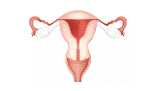 子宫内膜增厚怎么预防 子宫内膜增厚预防方法
