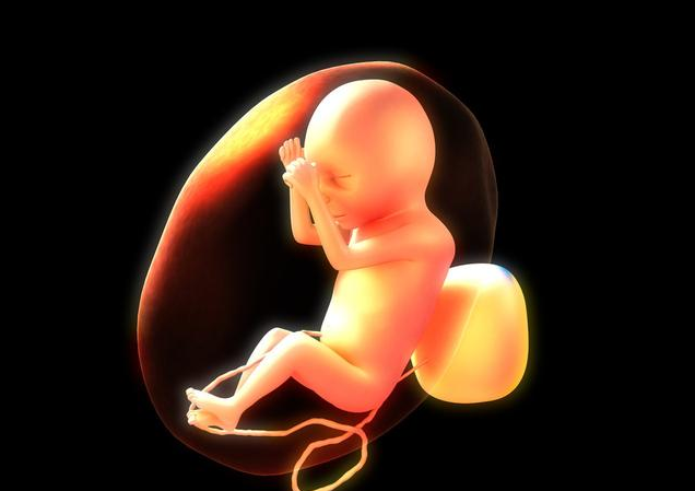 怀孕多长时间可以看见孕囊 怀孕50天孕囊形态可以看出胎儿性别吗