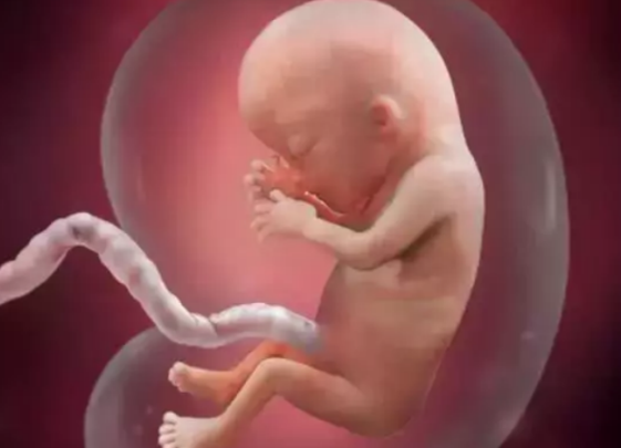 胎儿在羊水中怎么呼吸 胎儿羊水中呼吸方法介绍