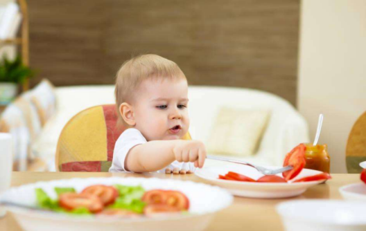 两岁宝宝食谱大全及做法   两岁宝宝辅食吃什么好