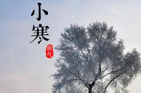 2019小寒节气手抄报图片 小寒手抄报资料